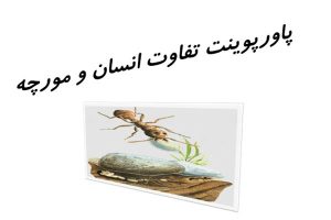 پاورپوینت تفاوت انسان و مورچه به صورت رایگان - فروشگاه ایرانیان شهرساز
