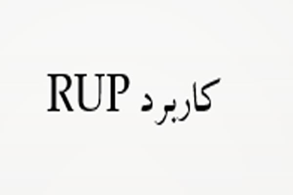 دانلود پاورپوینت کاربرد RUP - فروشگاه ایرانیان شهرساز به صورت رایگان